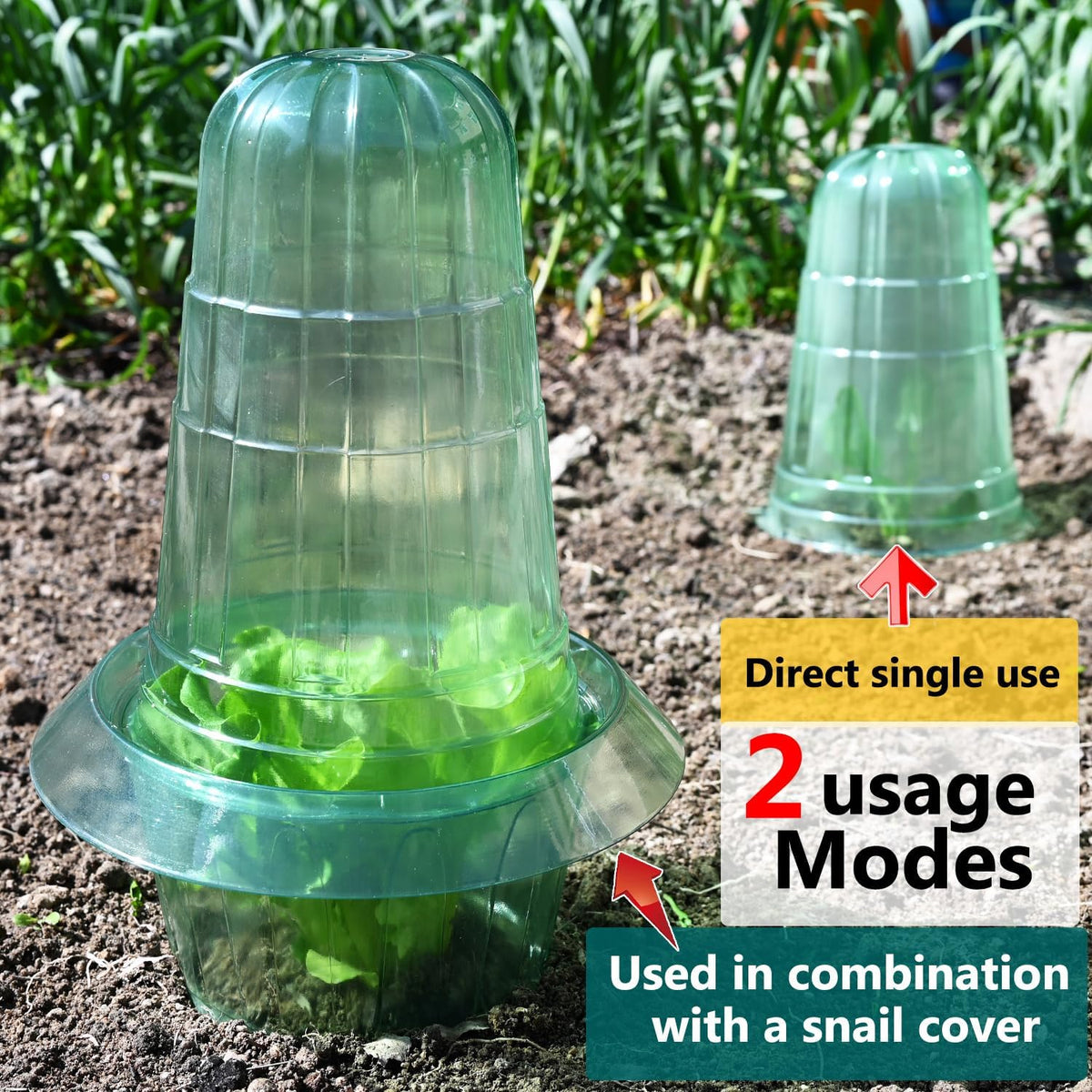 Slug Collars and Garden Cloches Set，Provides Effective Protection Against Snails for Your Salad Plants and Others Plants.(15 Pack)