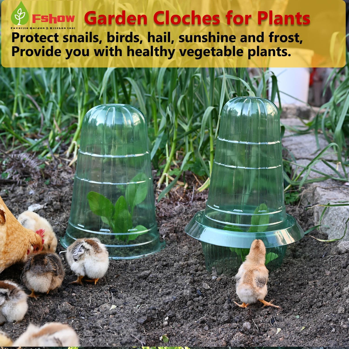 Slug Collars and Garden Cloches Set，Provides Effective Protection Against Snails for Your Salad Plants and Others Plants.(15 Pack)