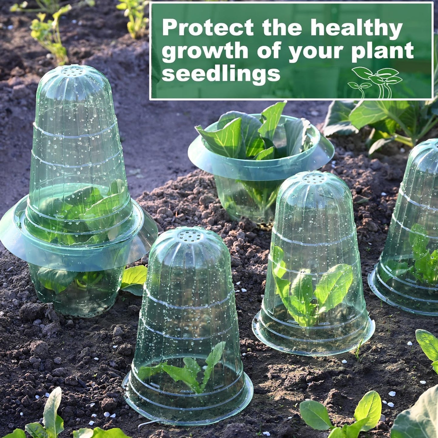 Slug Collars and Garden Cloches Set，Provides Effective Protection Against Snails for Your Salad Plants and Others Plants.(15 Pack)