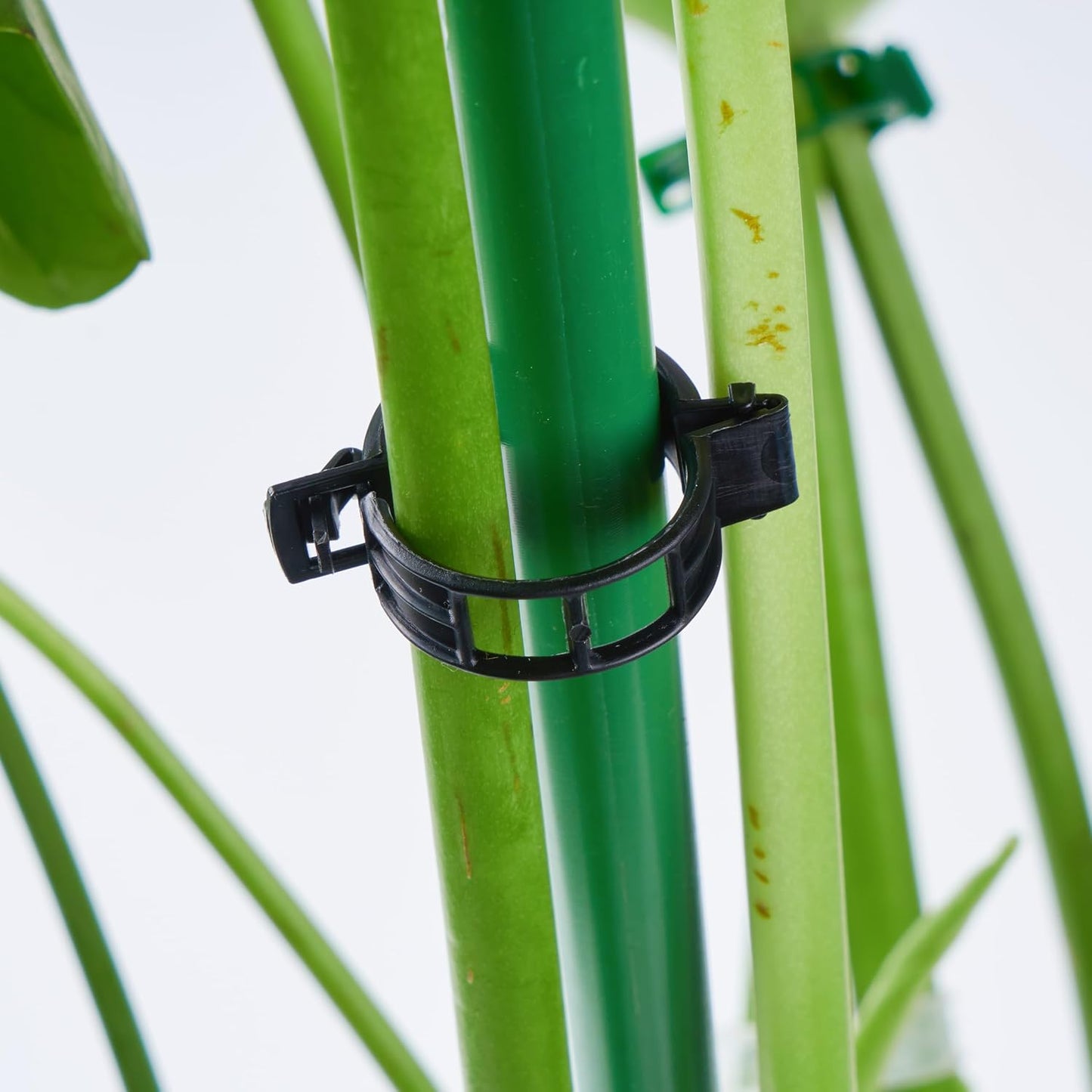 100Pcs Garden Vine Plant Support Clips Tomato Clip