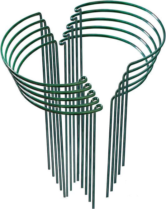 Plant Support Stakes, 10 Pack Metal Peony Cages and Support, Plant Stakes for Indoor Outdoor Plants, Plant Support Ring for Flowers(10" W x 15.8" H)