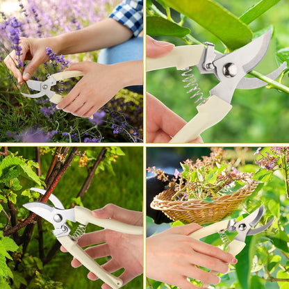12 Pcs Garden Shears Flower Scissors Pruning Shears Floral Garden Clippers Hand Pruners Branch Cutter Gardening Tools for Plants Cutting, Trimming, Fruits Picking (Beige,Bypass, Straight)