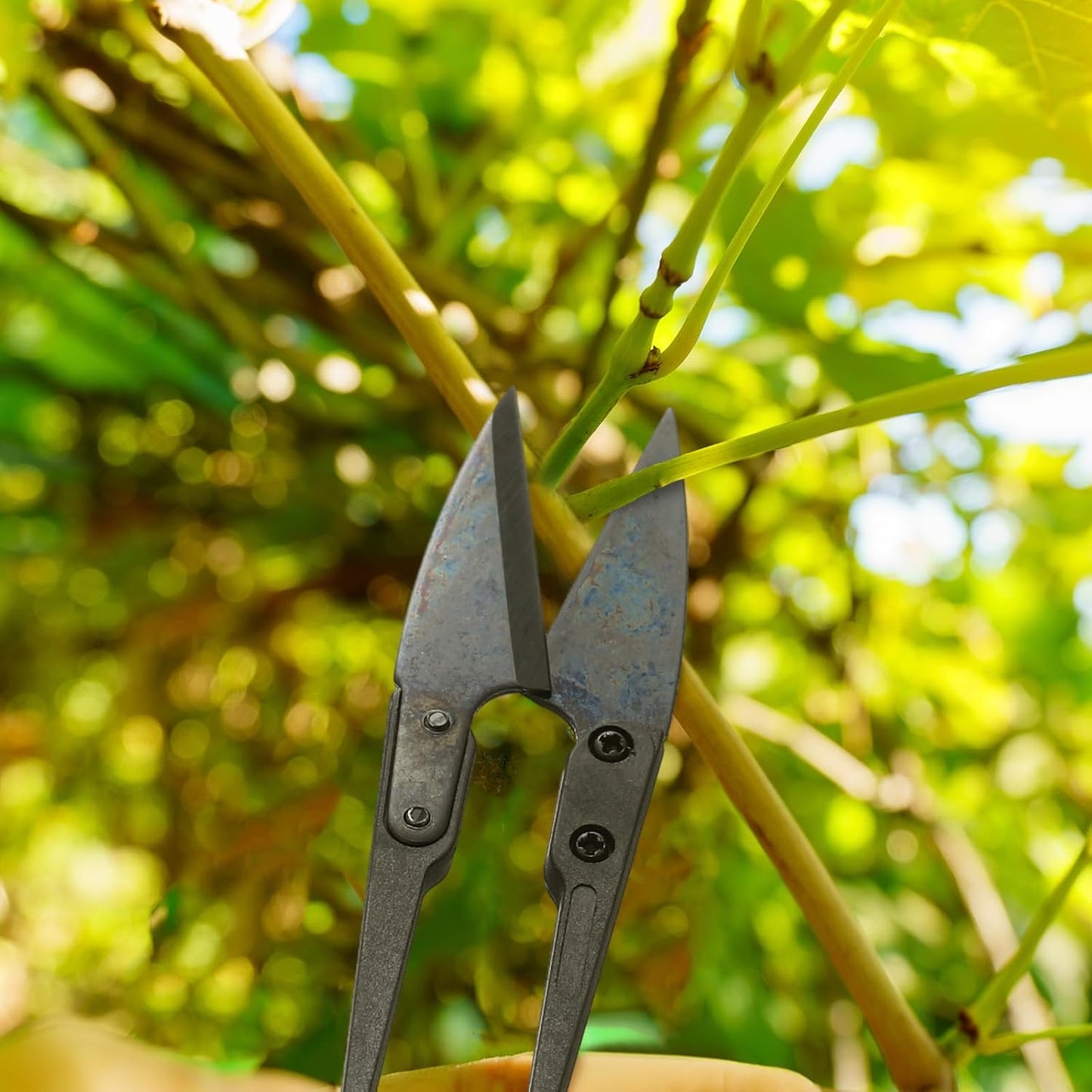 48 Pieces Bonsai Pruning Scissors 4 Inch Sewing Scissors Bulk Leaves Trimmer Small Pruner Shears Bud U Shaped Garden Shears for Gardening Plants Flower Bonsai Trimming
