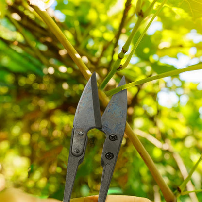 48 Pieces Bonsai Pruning Scissors 4 Inch Sewing Scissors Bulk Leaves Trimmer Small Pruner Shears Bud U Shaped Garden Shears for Gardening Plants Flower Bonsai Trimming