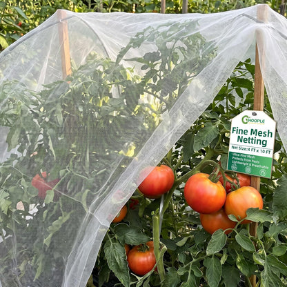10 ft x 33 ft Garden Netting Pest Barrier, Ultra-Fine Garden Mesh Netting for Garden Protection, Plant Covers Bird Netting for Vegetables, Raised Beds, Blueberry Bushes and Fruit Plants