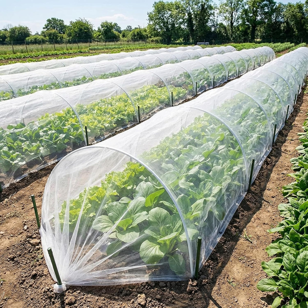 10 ft x 33 ft Garden Netting Pest Barrier, Ultra-Fine Garden Mesh Netting for Garden Protection, Plant Covers Bird Netting for Vegetables, Raised Beds, Blueberry Bushes and Fruit Plants