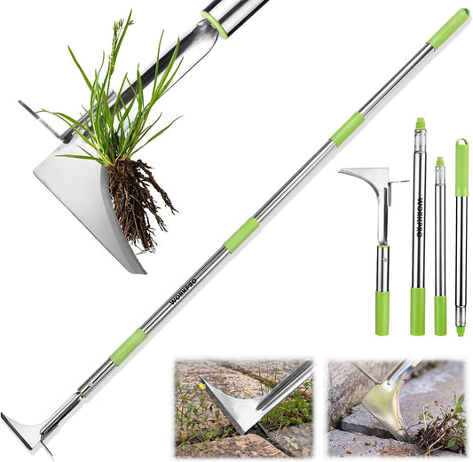 Crack Weeder, Stainless Steel Crevice Weeding Tool with Adjustable Long Handle (27"-54")
