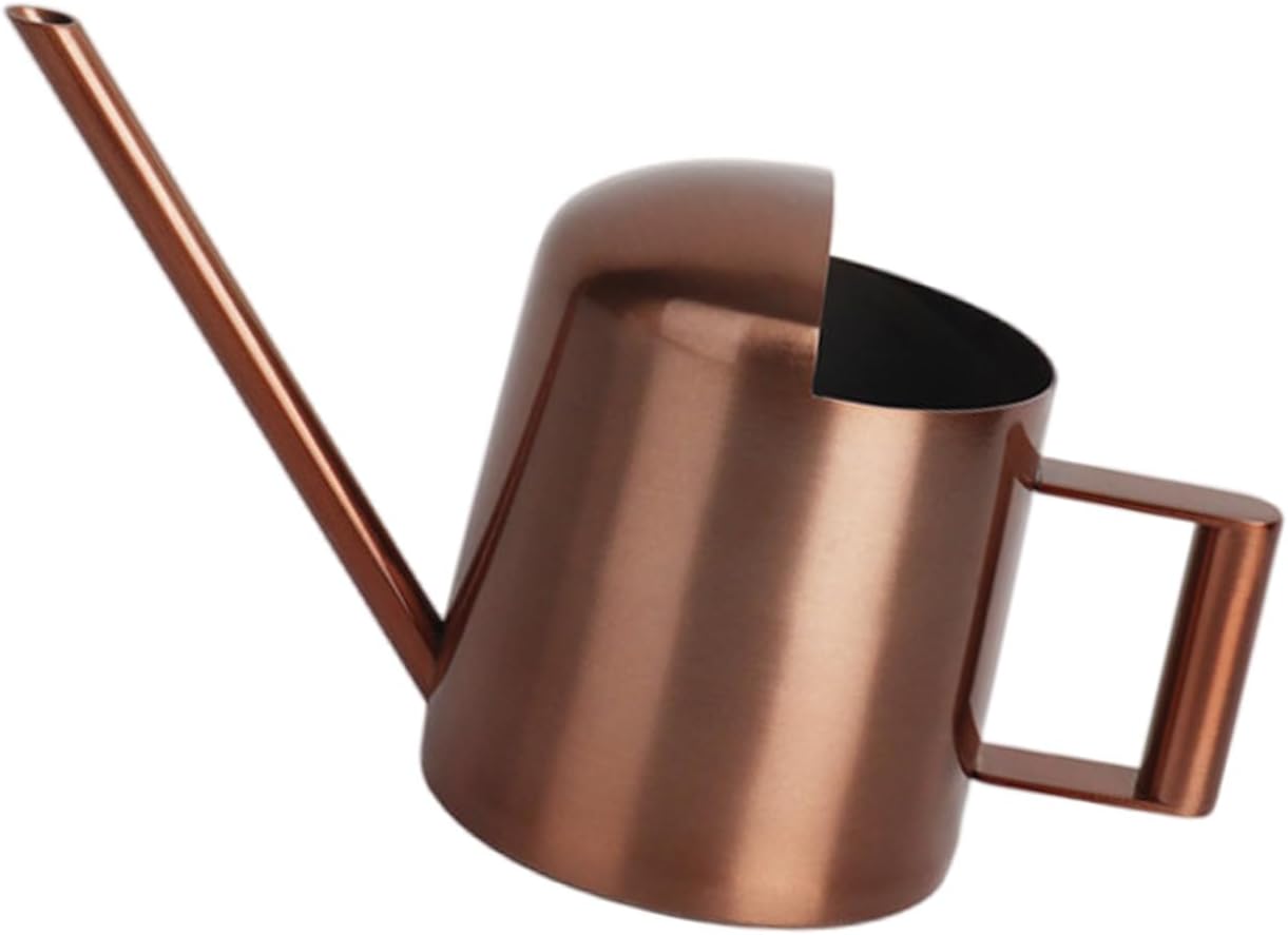 Indoor Watering Can for House Plant Stainless Steel Can Metal with Long Spout Indoor Plant Pots 300ml Gardening Tools