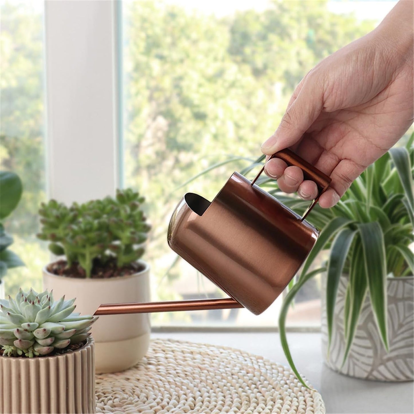 Indoor Watering Can for House Plant Stainless Steel Can Metal with Long Spout Indoor Plant Pots 300ml Gardening Tools