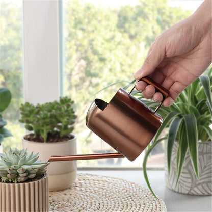 Indoor Watering Can for House Plant Stainless Steel Can Metal with Long Spout Indoor Plant Pots 300ml Gardening Tools