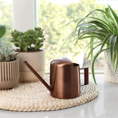 Indoor Watering Can for House Plant Stainless Steel Can Metal with Long Spout Indoor Plant Pots 300ml Gardening Tools