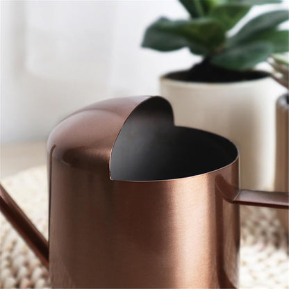 Indoor Watering Can for House Plant Stainless Steel Can Metal with Long Spout Indoor Plant Pots 300ml Gardening Tools