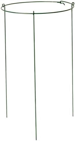14" Wide x 24" Tall Single Ring Green Peony Hoop Plant Supports (4)