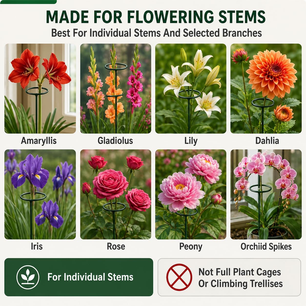 Plant Support Stakes, 20 Pack 24 Inch Metal Rings for Flower Stems