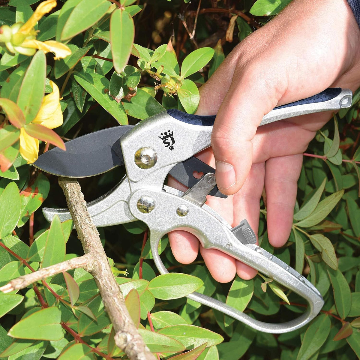 6258RS Razorsharp Compact Ratchet Anvil Pruners