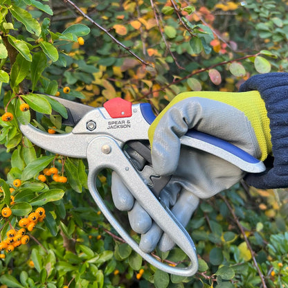 6258RS Razorsharp Compact Ratchet Anvil Pruners