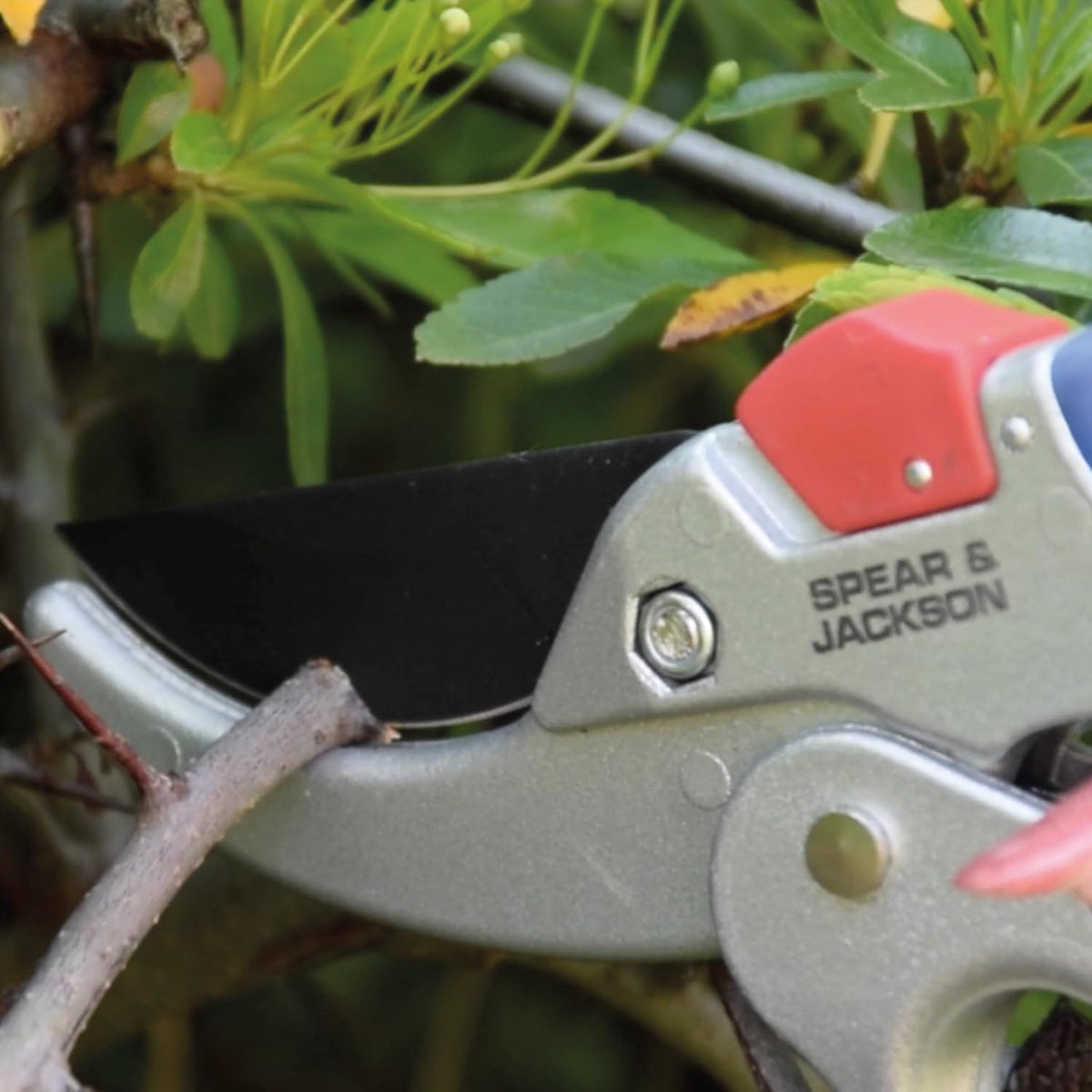6258RS Razorsharp Compact Ratchet Anvil Pruners
