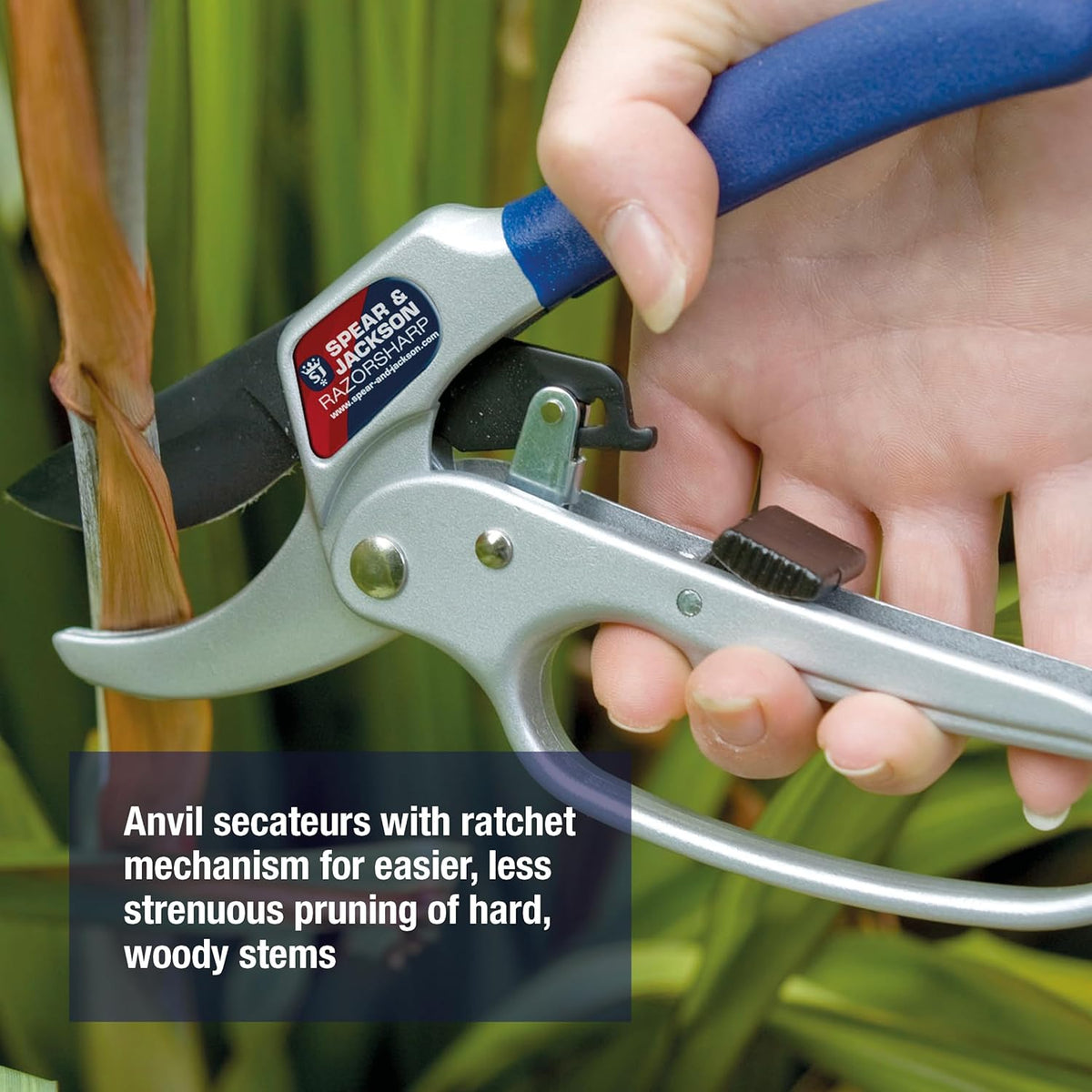 6258RS Razorsharp Compact Ratchet Anvil Pruners