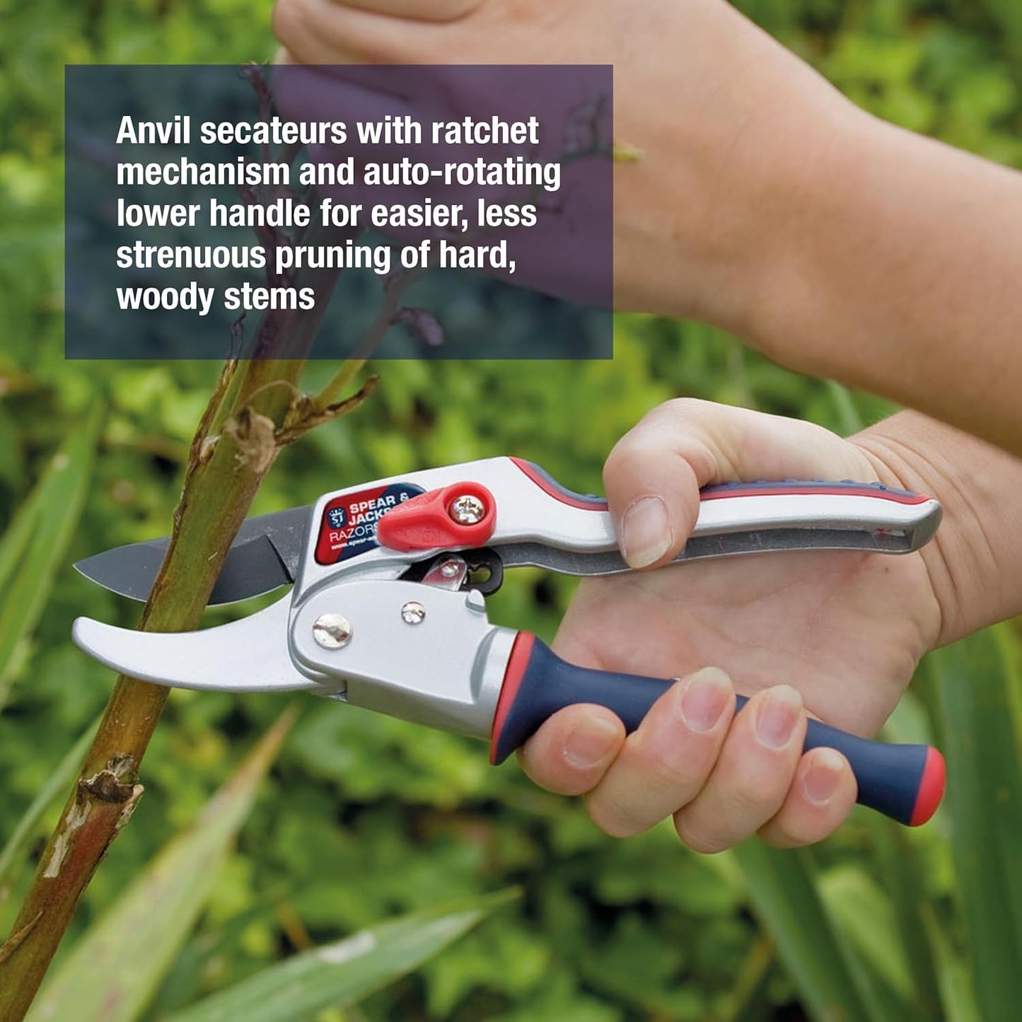 6258RS Razorsharp Compact Ratchet Anvil Pruners