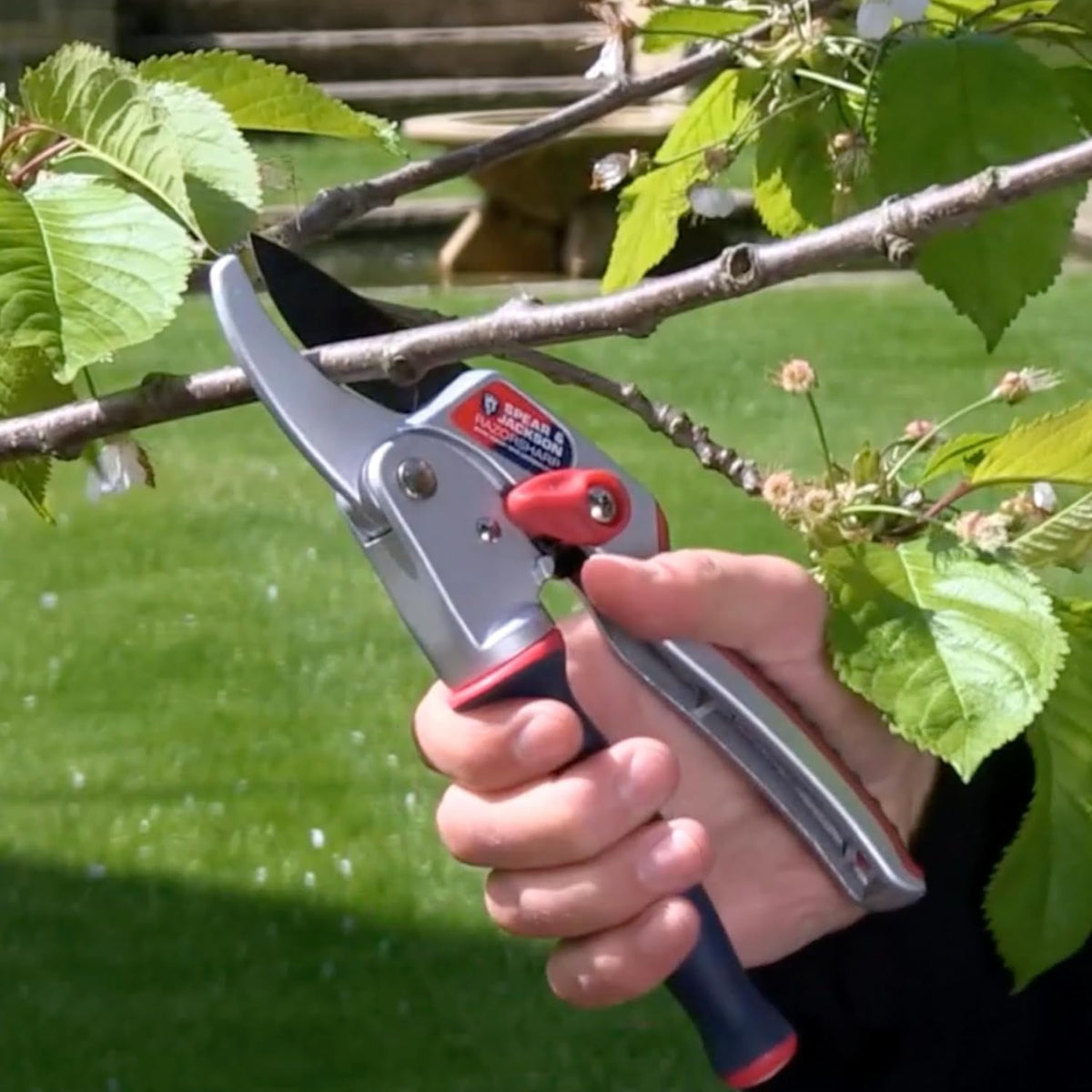 6258RS Razorsharp Compact Ratchet Anvil Pruners
