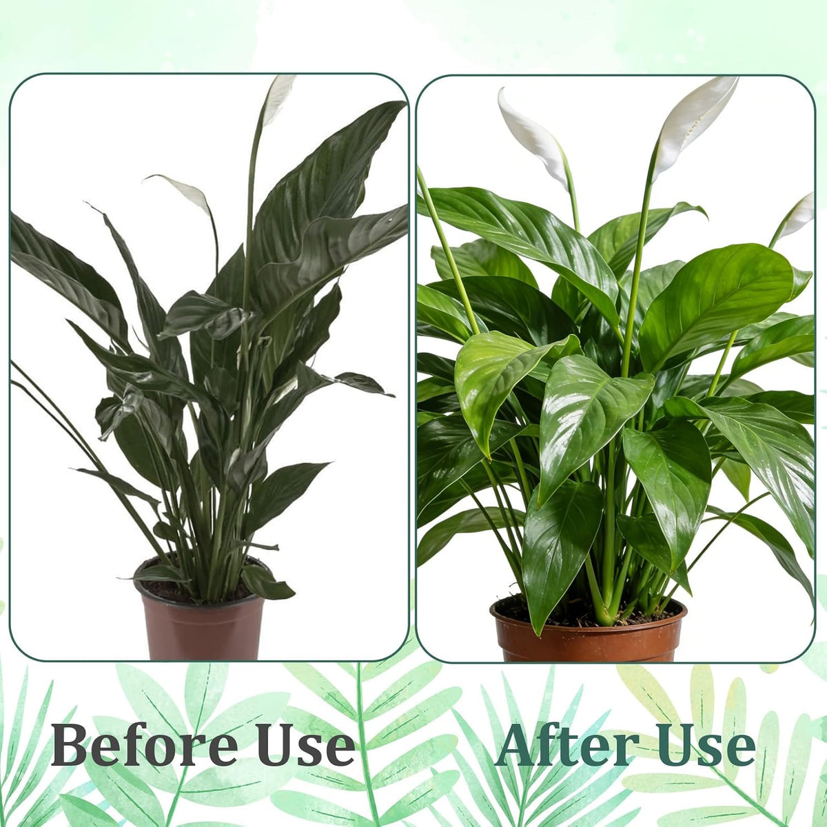 5 Pack Plant Support Stakes, Stackable Monstera Plant Supports for Indoor Outdoor Plants Garden Stakes Trellis for Climbing and Potted Plants Pothos Flowers