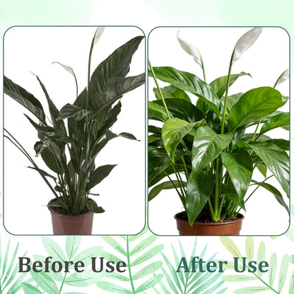 5 Pack Plant Support Stakes, Stackable Monstera Plant Supports for Indoor Outdoor Plants Garden Stakes Trellis for Climbing and Potted Plants Pothos Flowers
