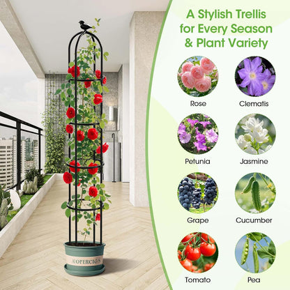 2026 Updated Garden Obelisk Trellis for Climbing Plants Outdoor, 76inch Tomato Cage, Rose, Flowers, Grape, Pea, Cucumber Trellis, Rustproof Plastic Coated Metal Plant Support Trellis for Potted Plants