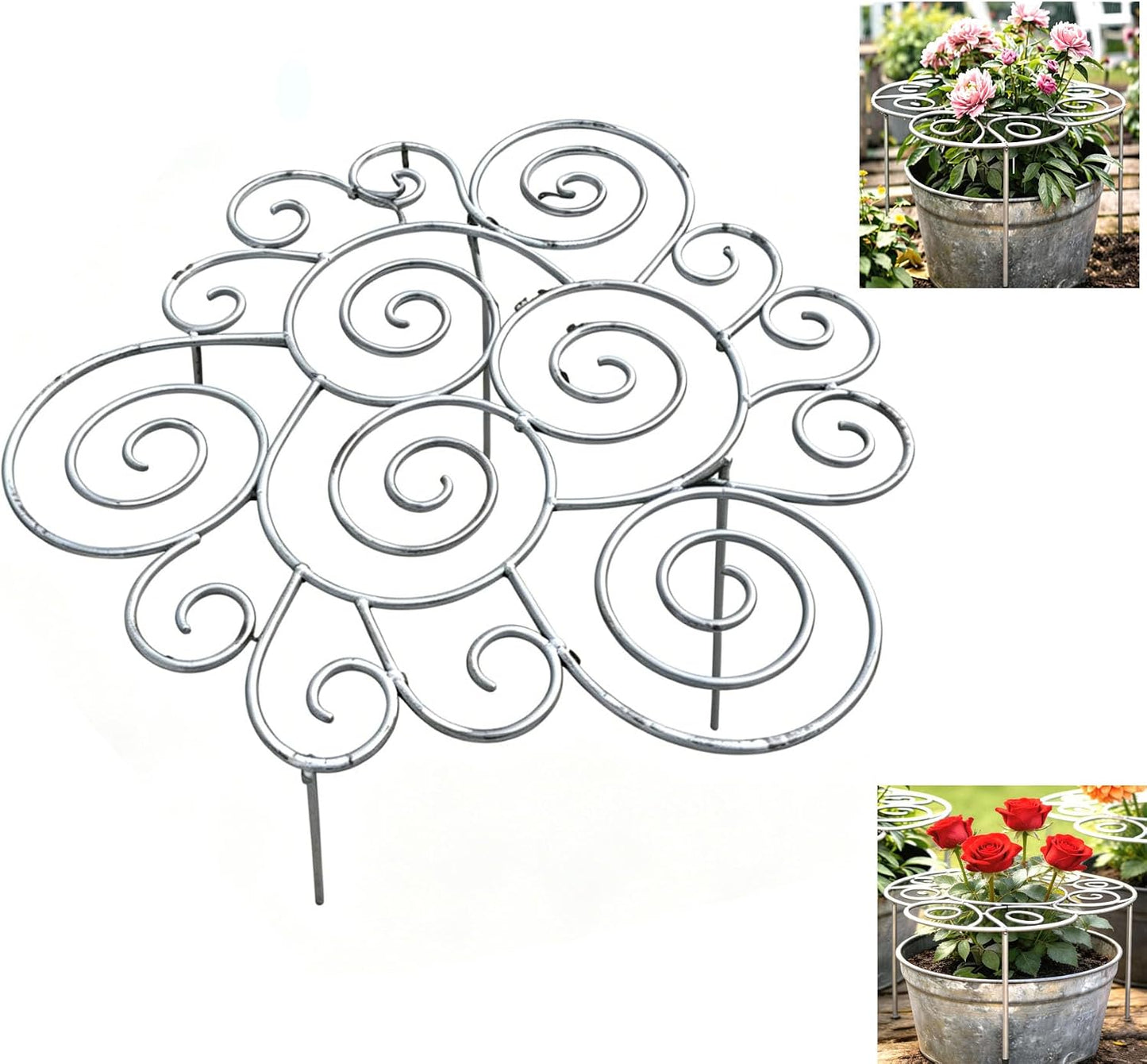 Plant Support Ring for Most Plants – Heavy Duty Metal Cage for Flowers, Vegetables, Tomatoes, Peonies, Roses – Garden Stake for Indoor/Outdoor Pots – No Tools Needed (M)