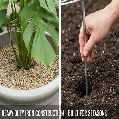 Plant Support Ring for Most Plants – Heavy Duty Metal Cage for Flowers, Vegetables, Tomatoes, Peonies, Roses – Garden Stake for Indoor/Outdoor Pots – No Tools Needed (M)