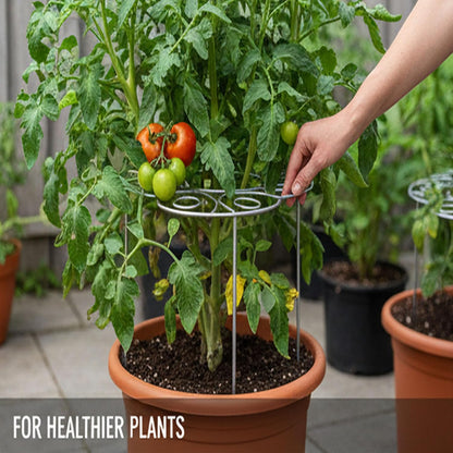 Plant Support Ring for Most Plants – Heavy Duty Metal Cage for Flowers, Vegetables, Tomatoes, Peonies, Roses – Garden Stake for Indoor/Outdoor Pots – No Tools Needed (M)