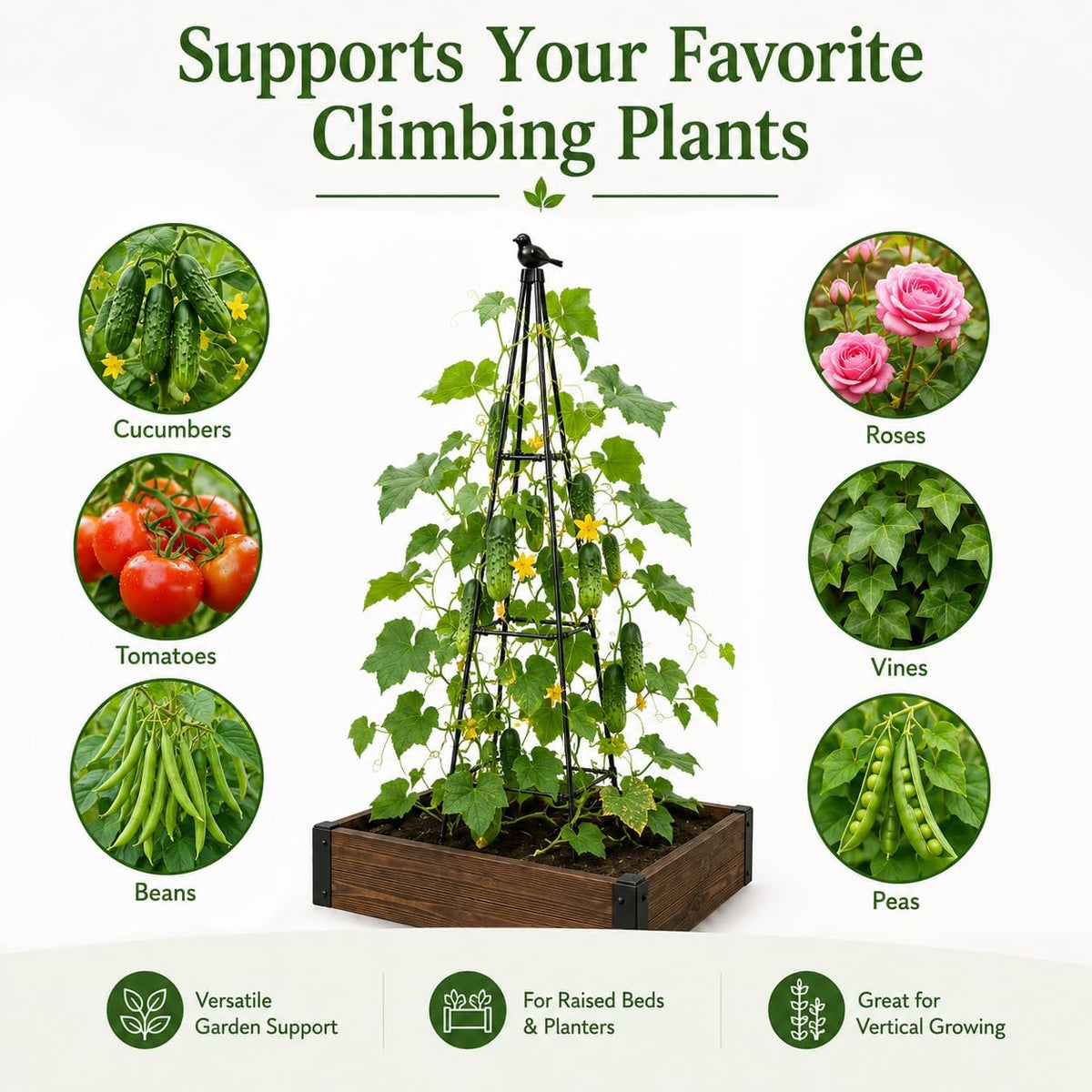 Obelisk Trellis for Climbing Plants Outdoor, 67", Black, 2 Pack