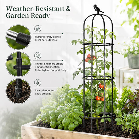 Garden Obelisk Trellis for Climbing Plants Outdoor, 2 Pack