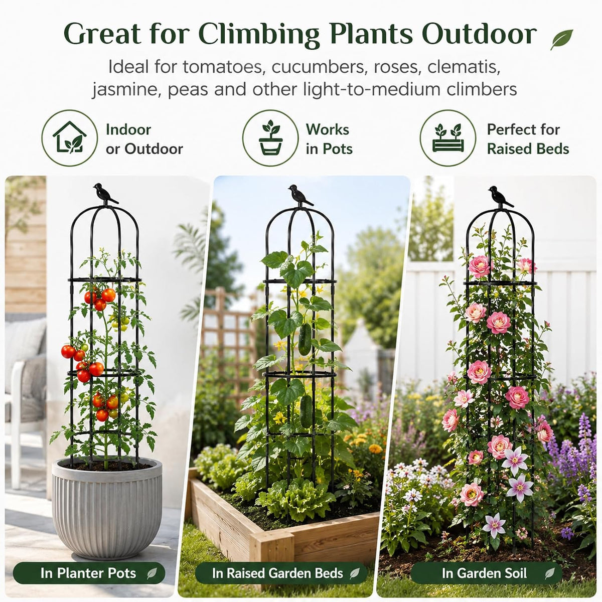 Garden Obelisk Trellis for Climbing Plants Outdoor, 2 Pack