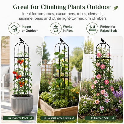 Garden Obelisk Trellis for Climbing Plants Outdoor, 2 Pack