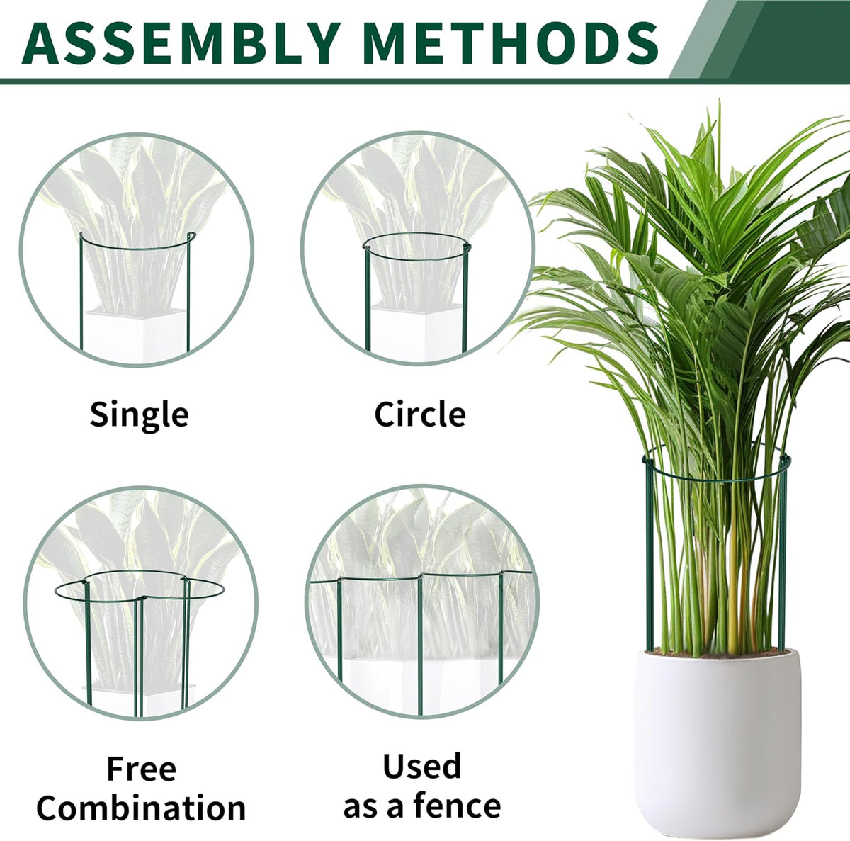 10 Pack Peony Cages and Supports, 10" (W) x 24"(H) Plant Support, Heavy-Duty Metal Plant Support Stakes, Plant Stakes for Outdoor & Indoor Plants, Perfect for Flowers and Vegetable