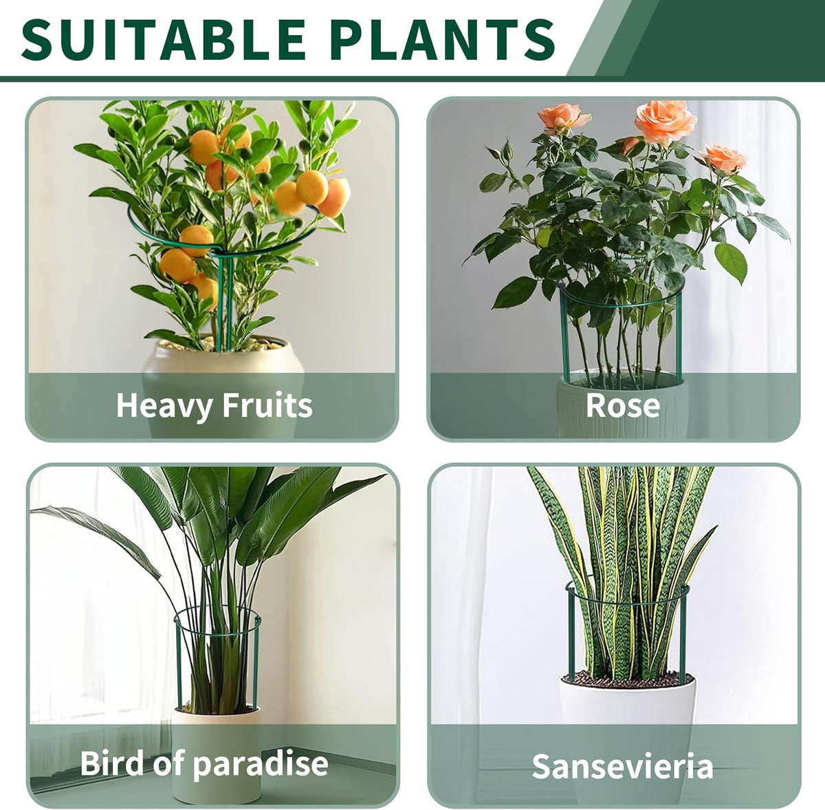 10 Pack Peony Cages and Supports, 10" (W) x 24"(H) Plant Support, Heavy-Duty Metal Plant Support Stakes, Plant Stakes for Outdoor & Indoor Plants, Perfect for Flowers and Vegetable