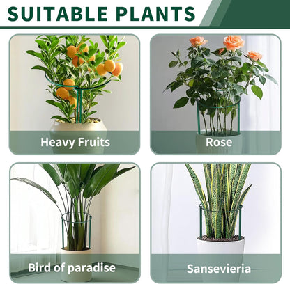 10 Pack Peony Cages and Supports, 10" (W) x 24"(H) Plant Support, Heavy-Duty Metal Plant Support Stakes, Plant Stakes for Outdoor & Indoor Plants, Perfect for Flowers and Vegetable