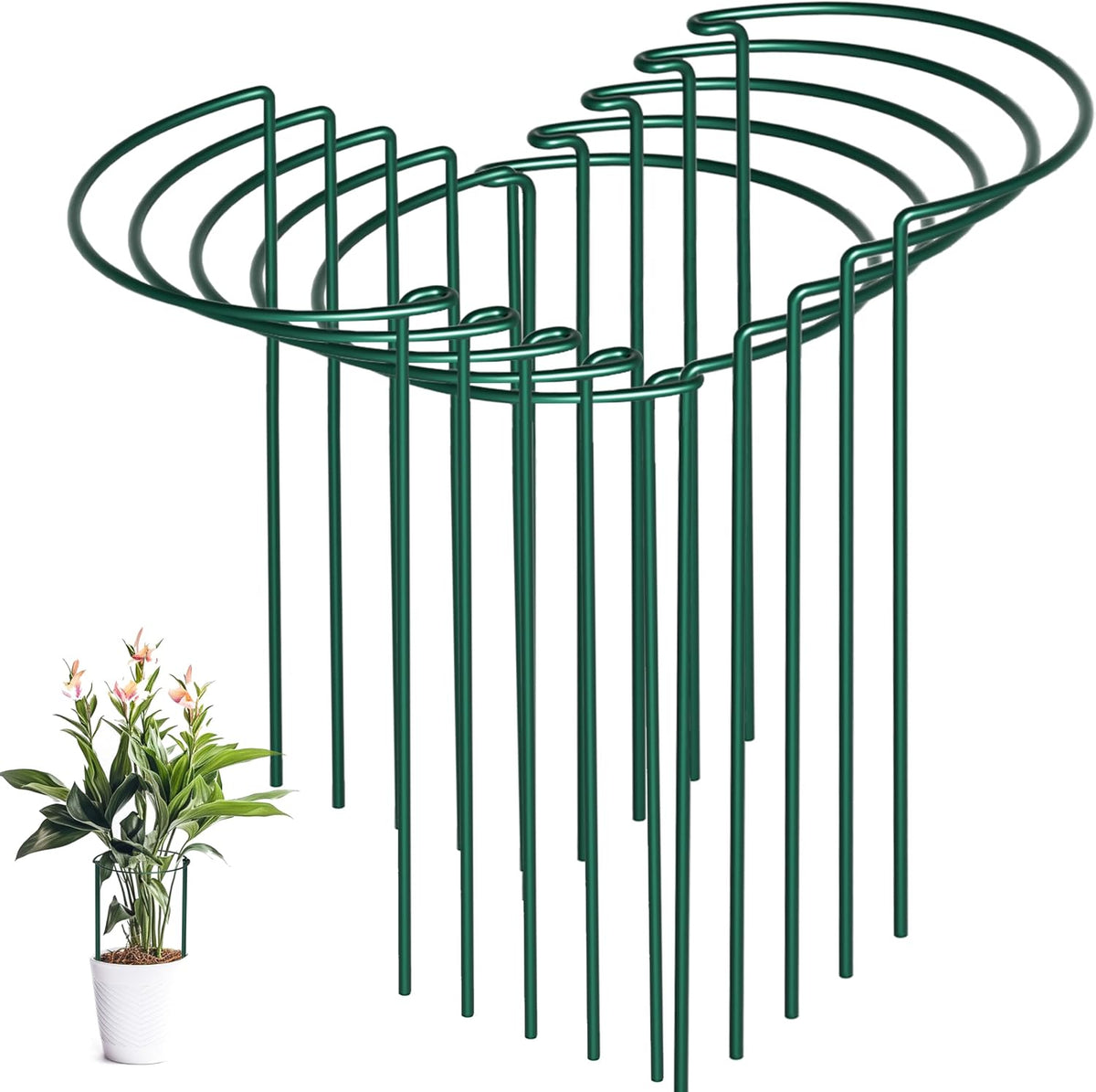 10 Pack Peony Cages and Supports, 10" (W) x 24"(H) Plant Support, Heavy-Duty Metal Plant Support Stakes, Plant Stakes for Outdoor & Indoor Plants, Perfect for Flowers and Vegetable