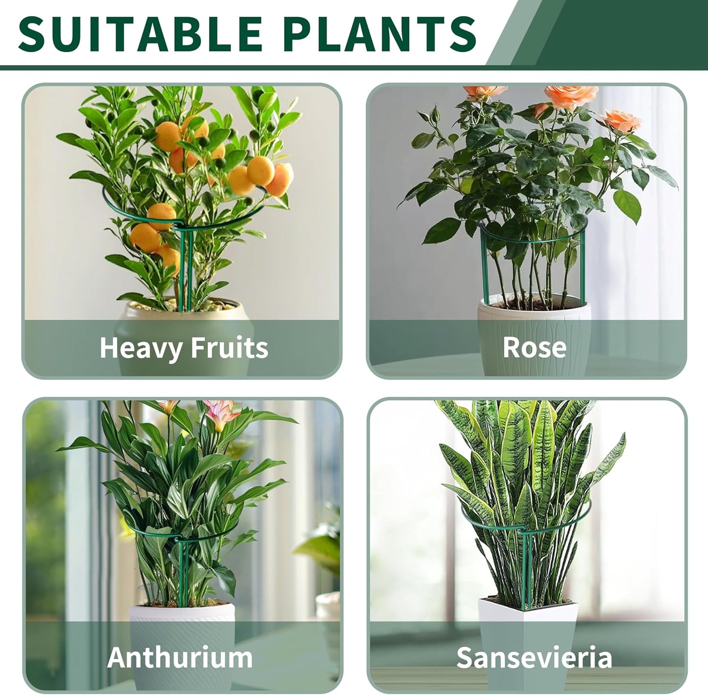 10 Pack Peony Cages and Supports, 10" (W) x 24"(H) Plant Support, Heavy-Duty Metal Plant Support Stakes, Plant Stakes for Outdoor & Indoor Plants, Perfect for Flowers and Vegetable