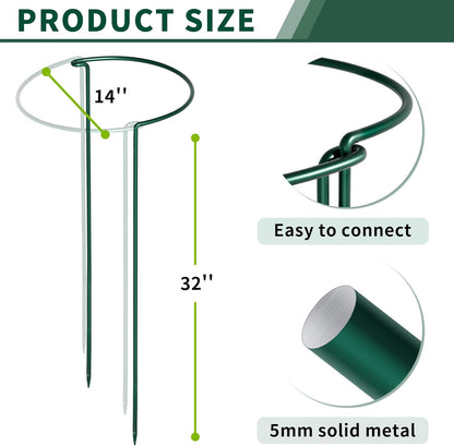 10 Pack Peony Cages and Supports, 10" (W) x 24"(H) Plant Support, Heavy-Duty Metal Plant Support Stakes, Plant Stakes for Outdoor & Indoor Plants, Perfect for Flowers and Vegetable