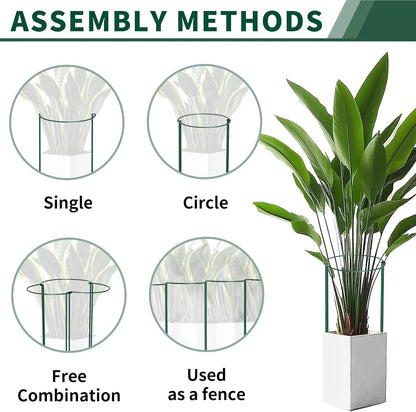 10 Pack Peony Cages and Supports, 10" (W) x 24"(H) Plant Support, Heavy-Duty Metal Plant Support Stakes, Plant Stakes for Outdoor & Indoor Plants, Perfect for Flowers and Vegetable
