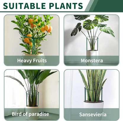 10 Pack Peony Cages and Supports, 10" (W) x 24"(H) Plant Support, Heavy-Duty Metal Plant Support Stakes, Plant Stakes for Outdoor & Indoor Plants, Perfect for Flowers and Vegetable