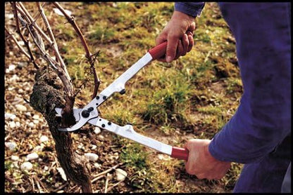 F211-50 Swiss Made Loppers for Gardening – 20" Lightweight Precision Loppers for Tree Trimming | Tree Branch Cutters | Tree Trimmer Tool with Curved Bypass Blade | I-Beam Handles | Landscape