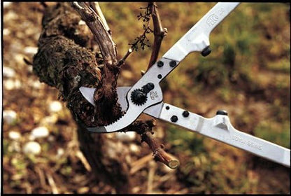 F211-50 Swiss Made Loppers for Gardening – 20" Lightweight Precision Loppers for Tree Trimming | Tree Branch Cutters | Tree Trimmer Tool with Curved Bypass Blade | I-Beam Handles | Landscape