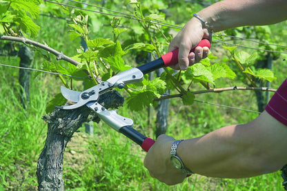 F211-50 Swiss Made Loppers for Gardening – 20" Lightweight Precision Loppers for Tree Trimming | Tree Branch Cutters | Tree Trimmer Tool with Curved Bypass Blade | I-Beam Handles | Landscape