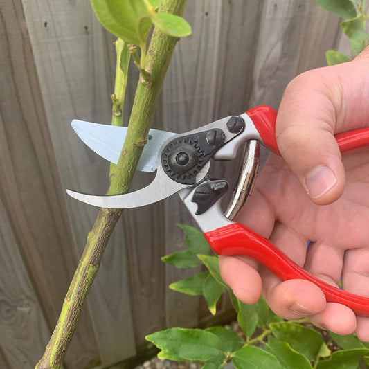6959BS Razorsharp Professional Ergonomic Handle Bypass Pruner