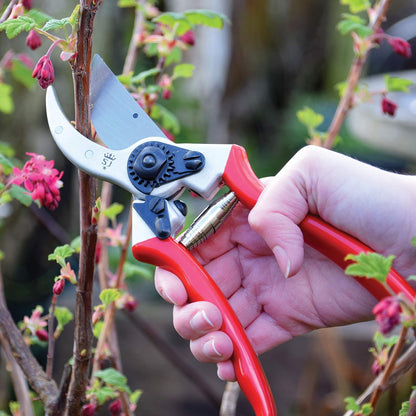 6959BS Razorsharp Professional Ergonomic Handle Bypass Pruner