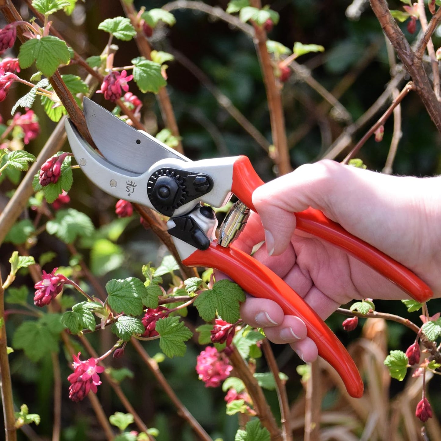 6959BS Razorsharp Professional Ergonomic Handle Bypass Pruner