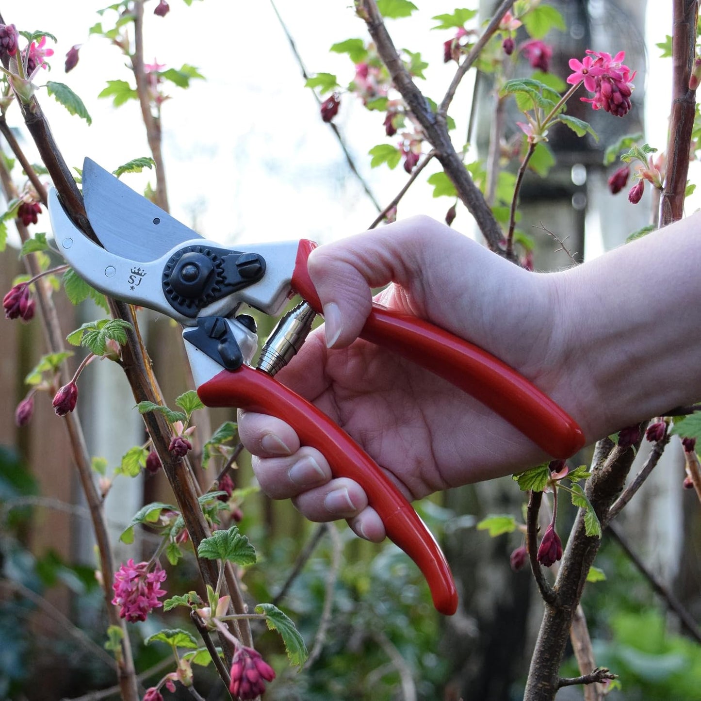 6959BS Razorsharp Professional Ergonomic Handle Bypass Pruner