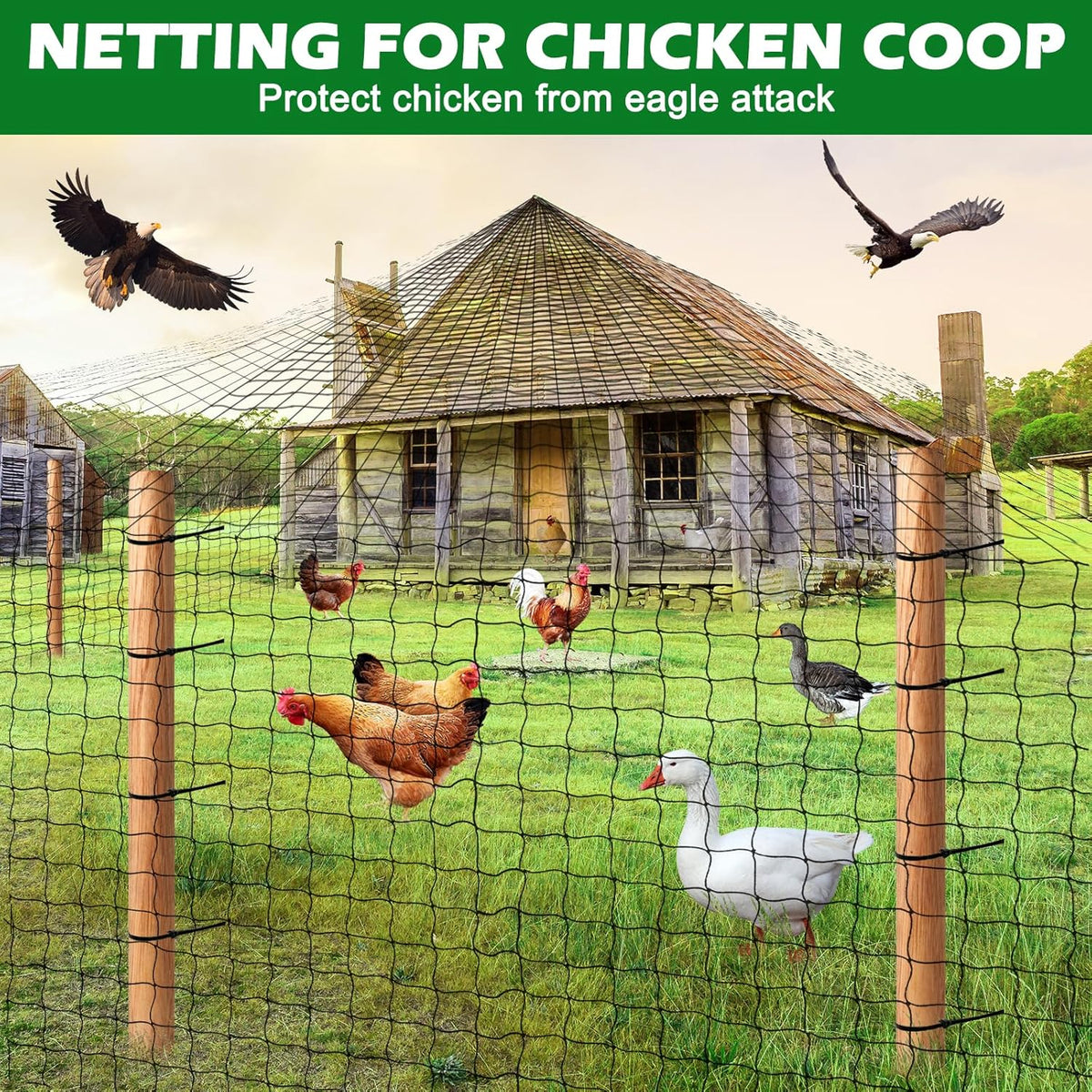 Bird Netting for Chicken Coop 25'x25', Poultry Netting, 3/4" Mesh